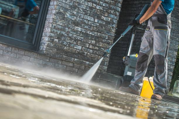 Best Dumpster Area Cleaning  in Gibraltar, MI