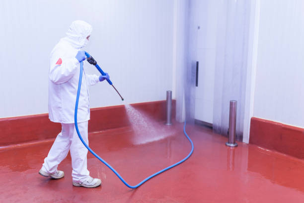 Best Gas Station Cleaning  in Gibraltar, MI