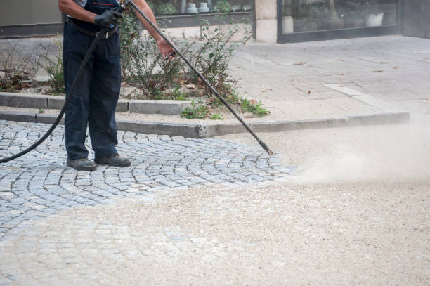 Best Gutter Cleaning  in Gibraltar, MI